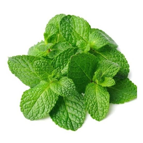 Mint Leaves 🍃 