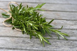 Rosemary 