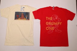 Irregulars Unmanifested Pallets of Assorted Licensed T Shirts for Men, Women & Children 