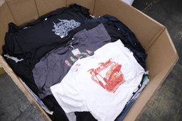 Irregulars Unmanifested Pallets of Assorted Licensed T Shirts for Men, Women & Children 