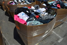 WM Assorted Clothing and Accessory Loads