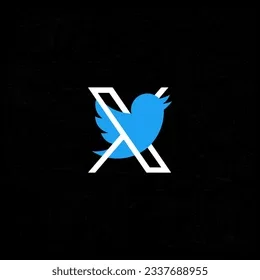 Twitter Followers_0