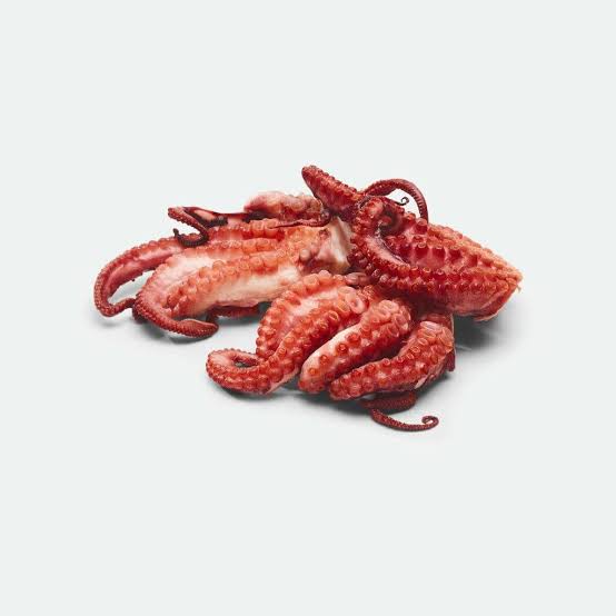 Octopus 🐙 