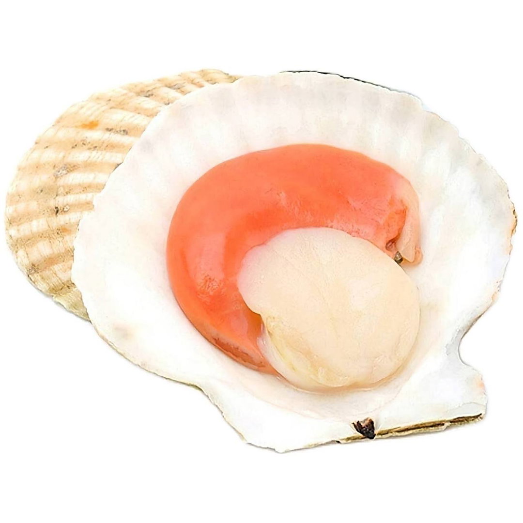 Half Shell Scallop XXL  半壳特大扇贝 1kg 