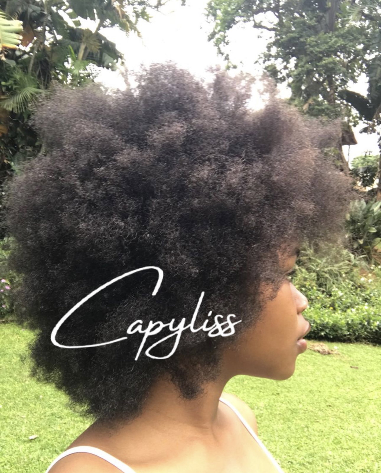 capyliss pousse de cheveux _5