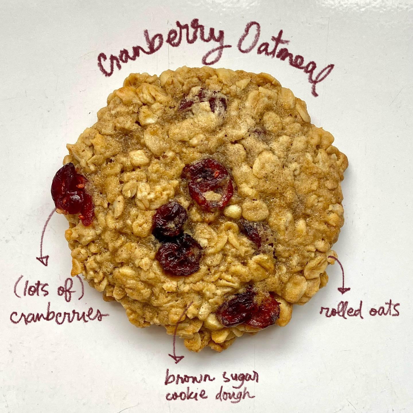 Cranberry Oatmeal Cookie_0