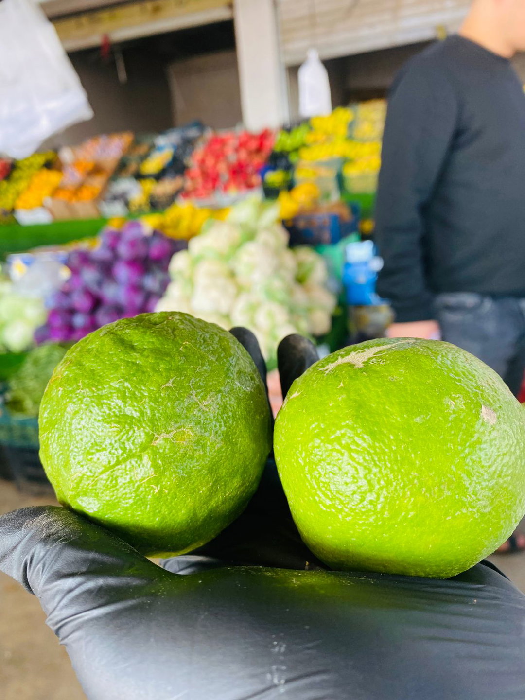 نارنج عراقي