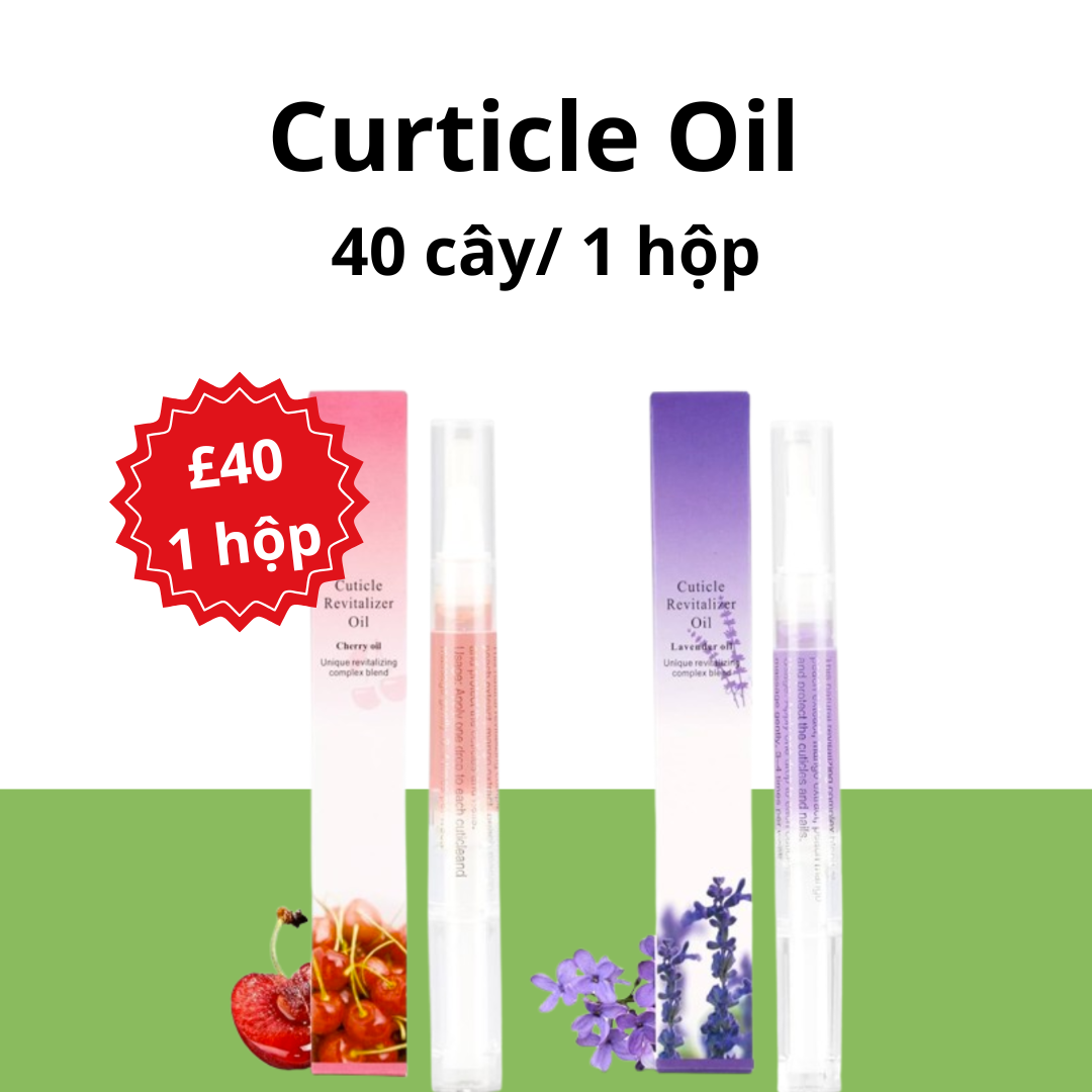 Curticle Oil - 40 cây 1 hộp