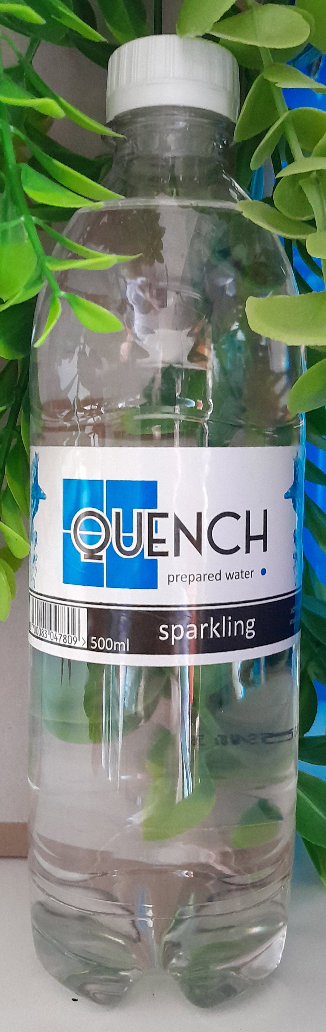 500ml Sparkling Water