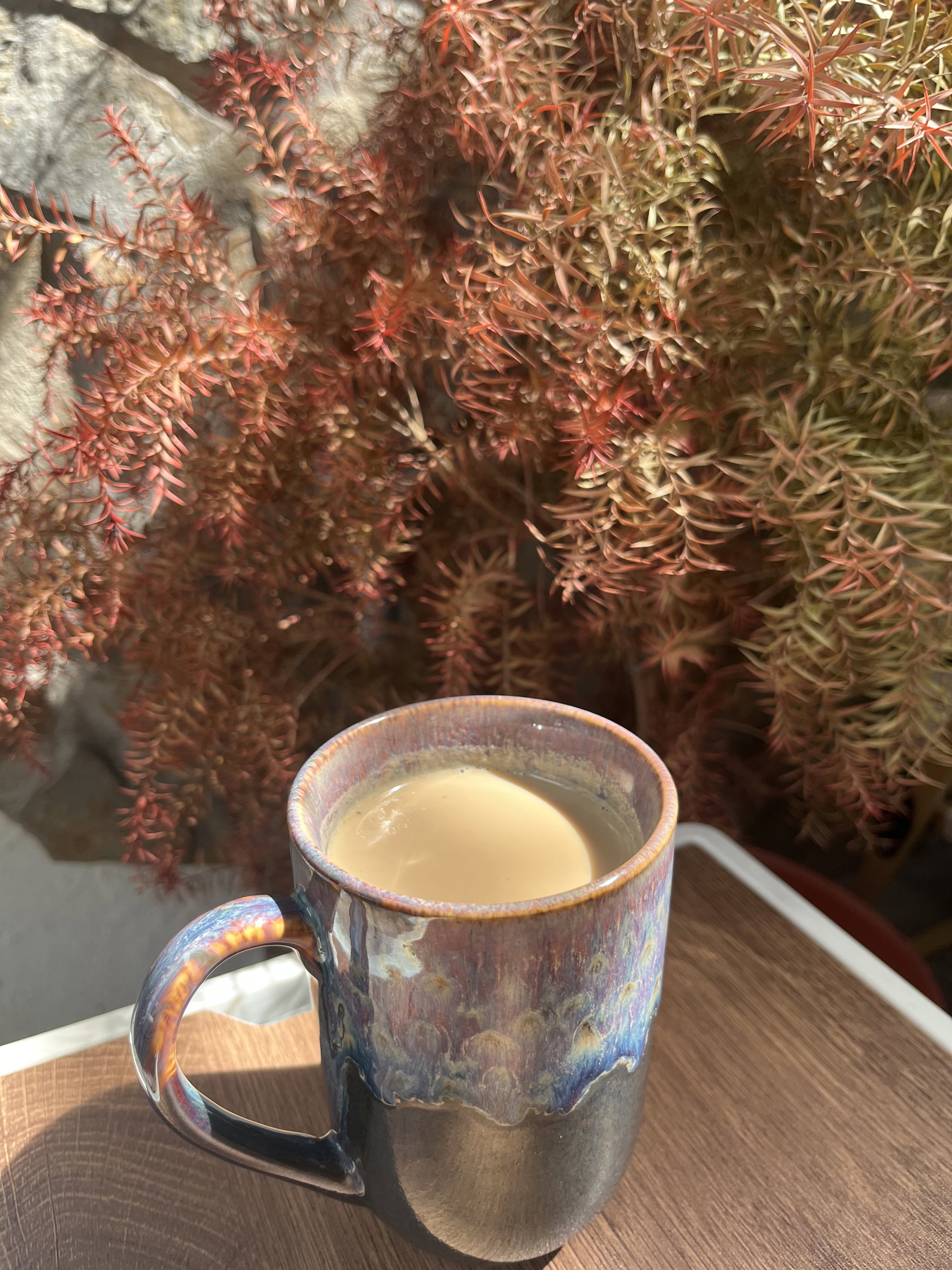 MASALA CHAI - Trà Sữa Thảo Mộc Truyền Thống Ấn Độ_1