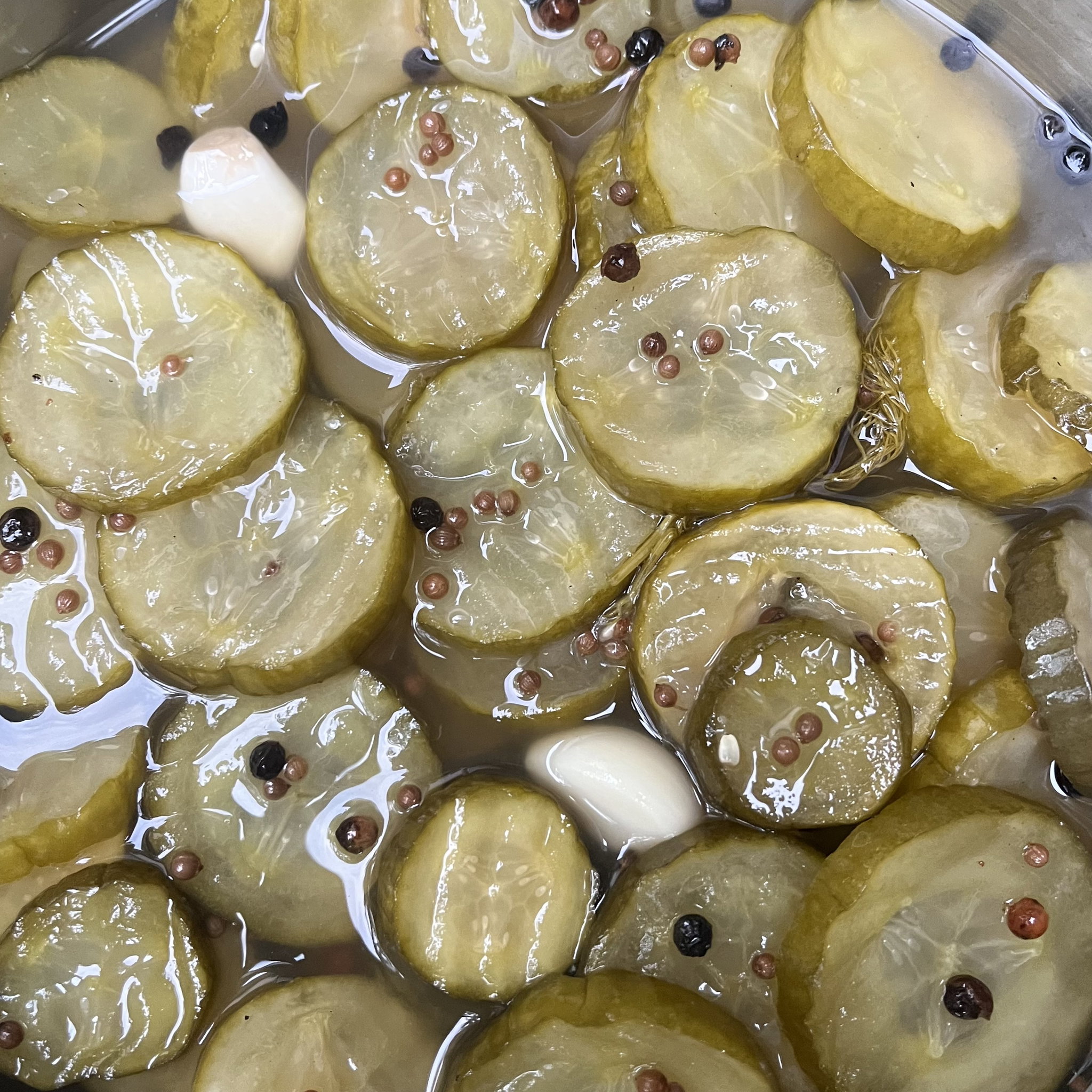 Gherkin Slices | Classic Dill Pickle_2