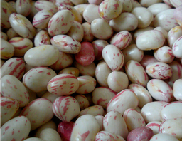 Beans
