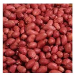 Full Roasted For Stew
