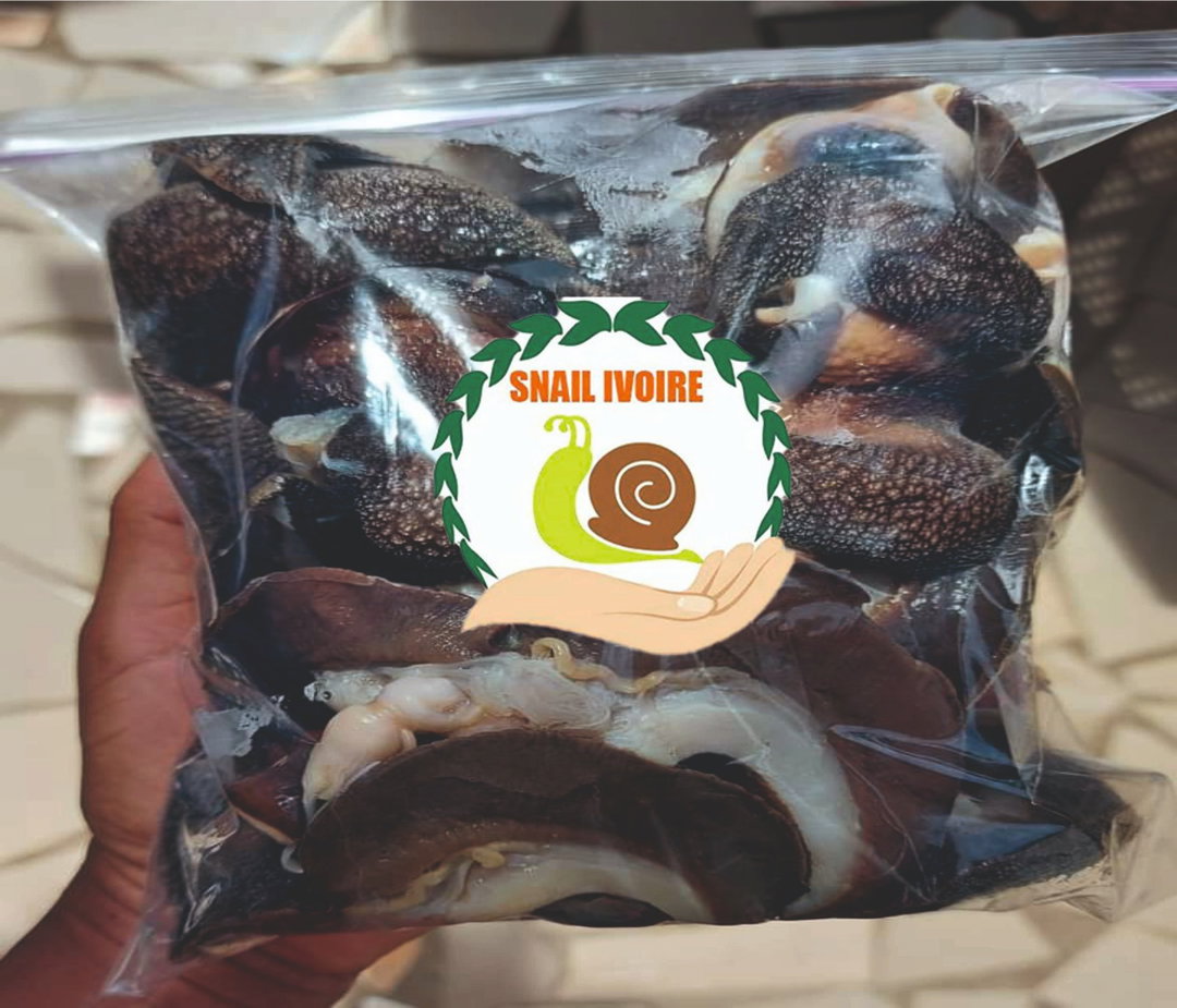 Escargot frais bien nettoyer