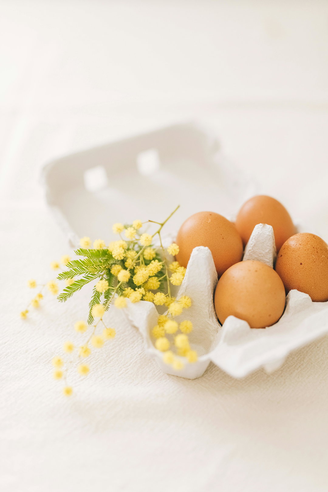 Eggs 