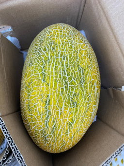 Melon