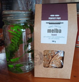 Melba Toast