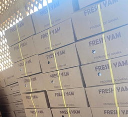  WHITE YAM :Net Weight 20kg