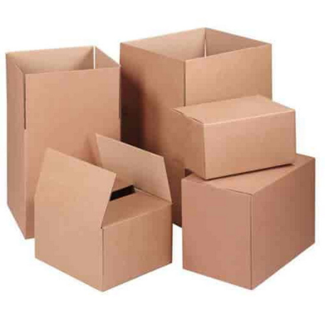 Caixa papelão (SAHO)