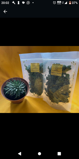 Kale Chips