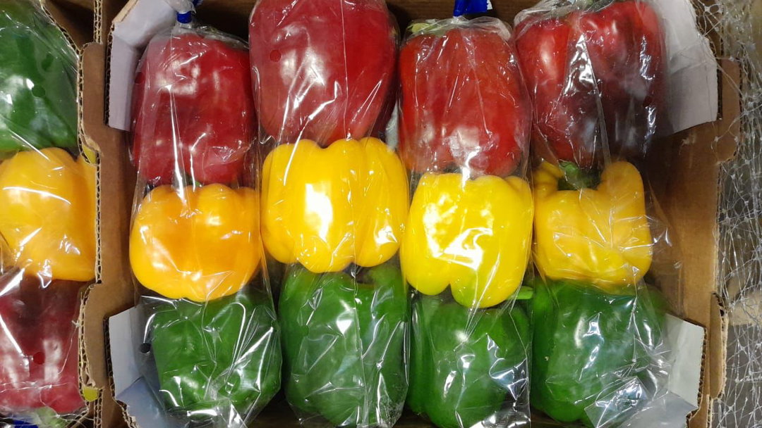 Robot peppers