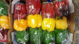 Robot peppers
