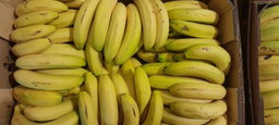 1.2kg bananas - organic