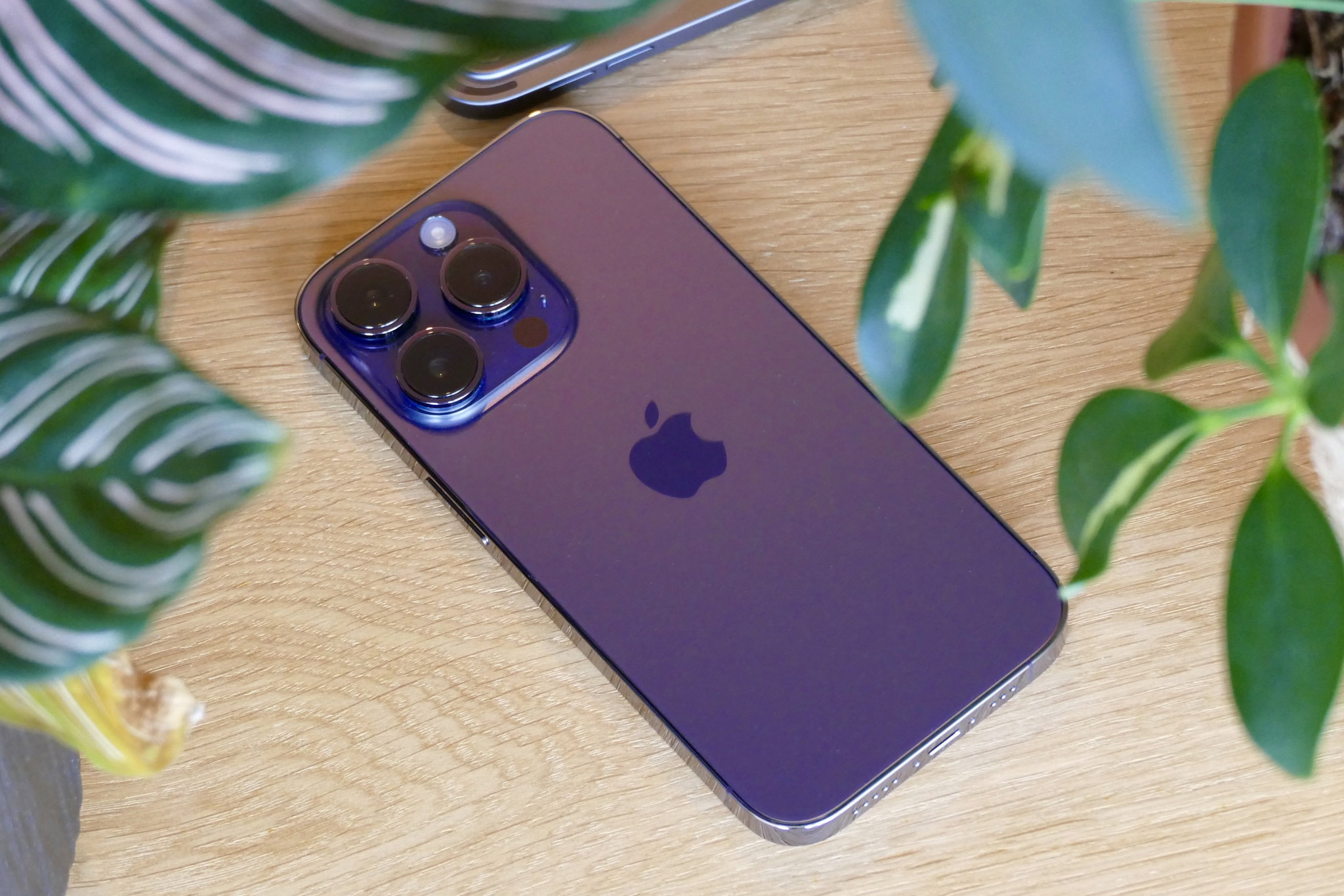 iPhone 14 Pro Max , 128GB , Purple (Pre owned , Battery Health 95%)_0