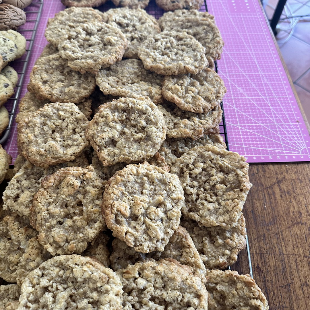 Oat and Coconut cookie