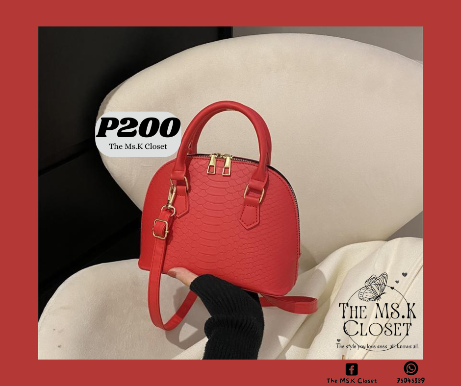 Dome hand bag_1