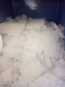 Ice Cubes