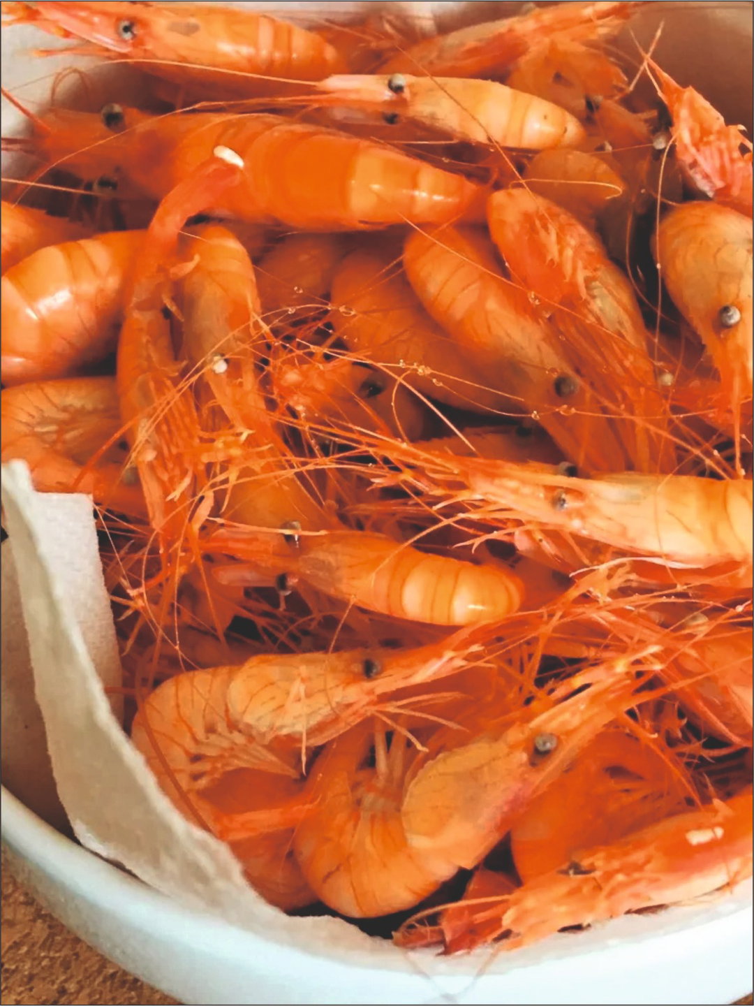 crevettes fraîche