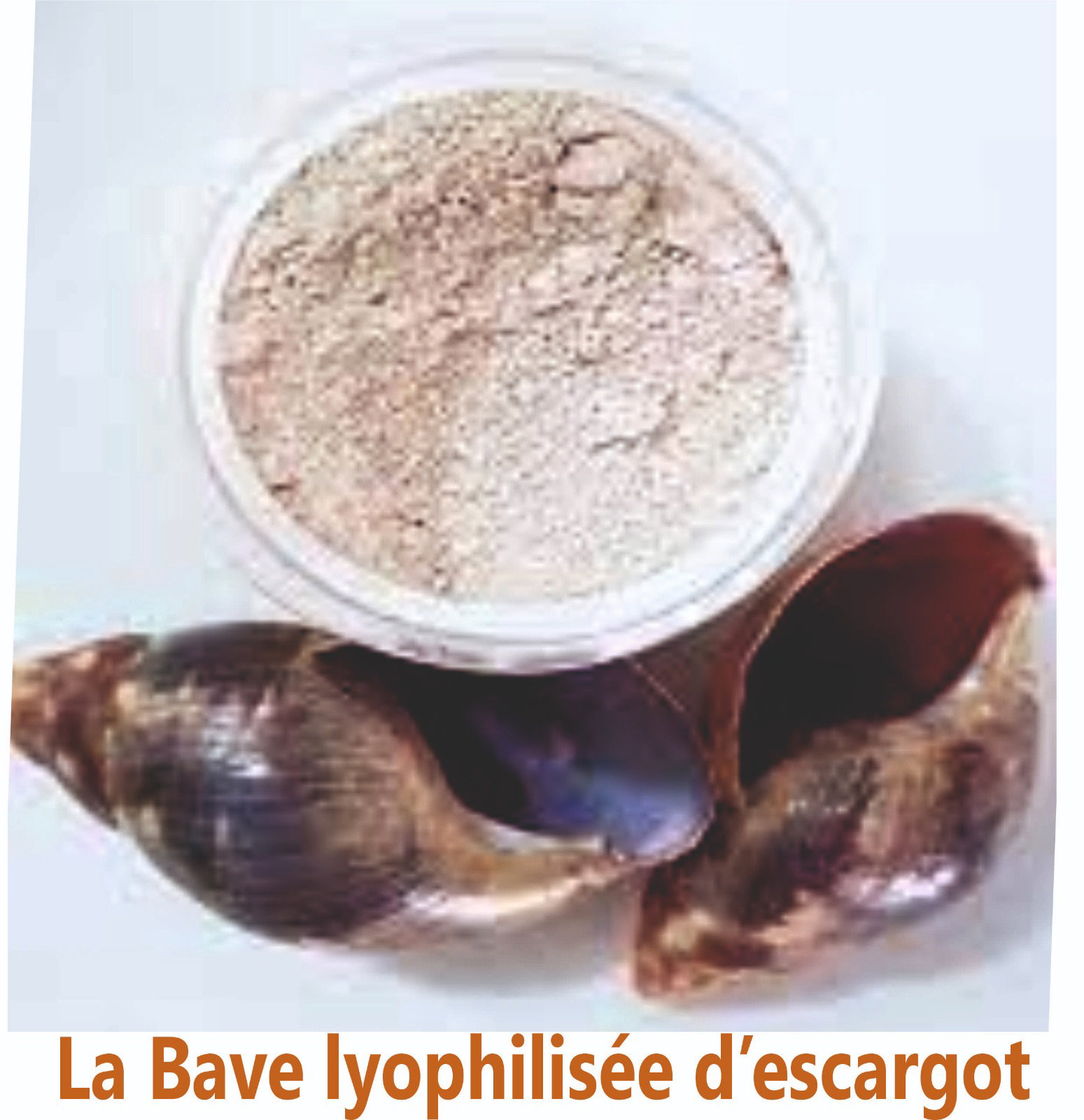 bave hyophilisée_1