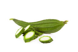 दोडका 