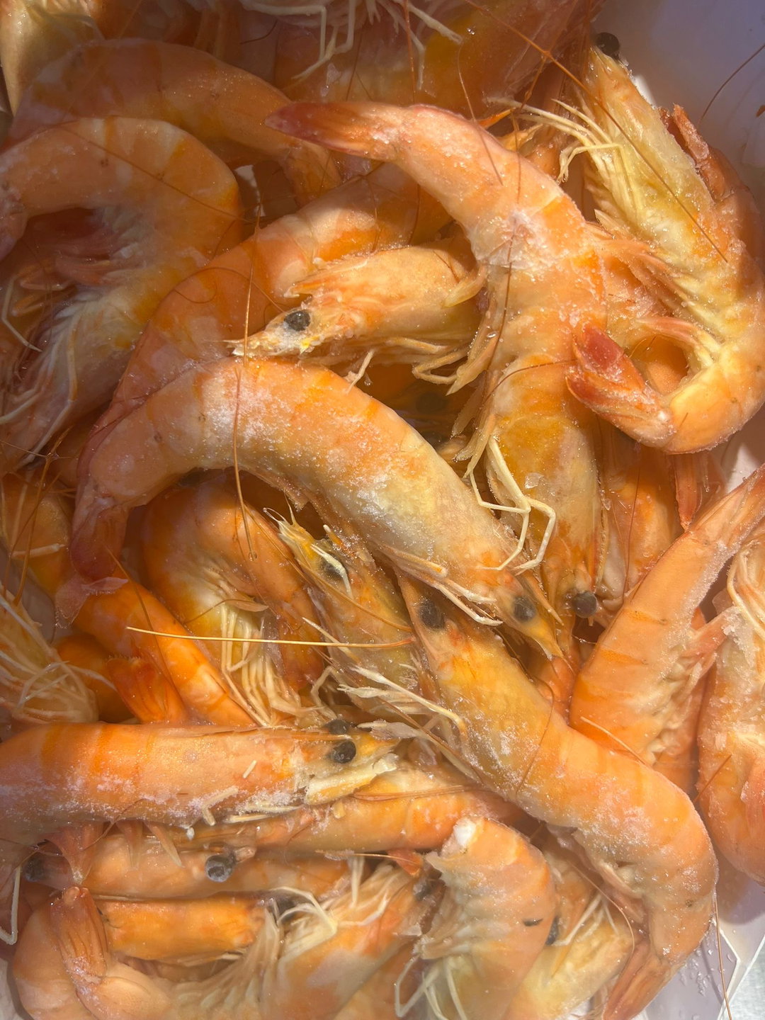 Frozen Cooked Prawn熟冻南美白虾 800g 40-50pcs
