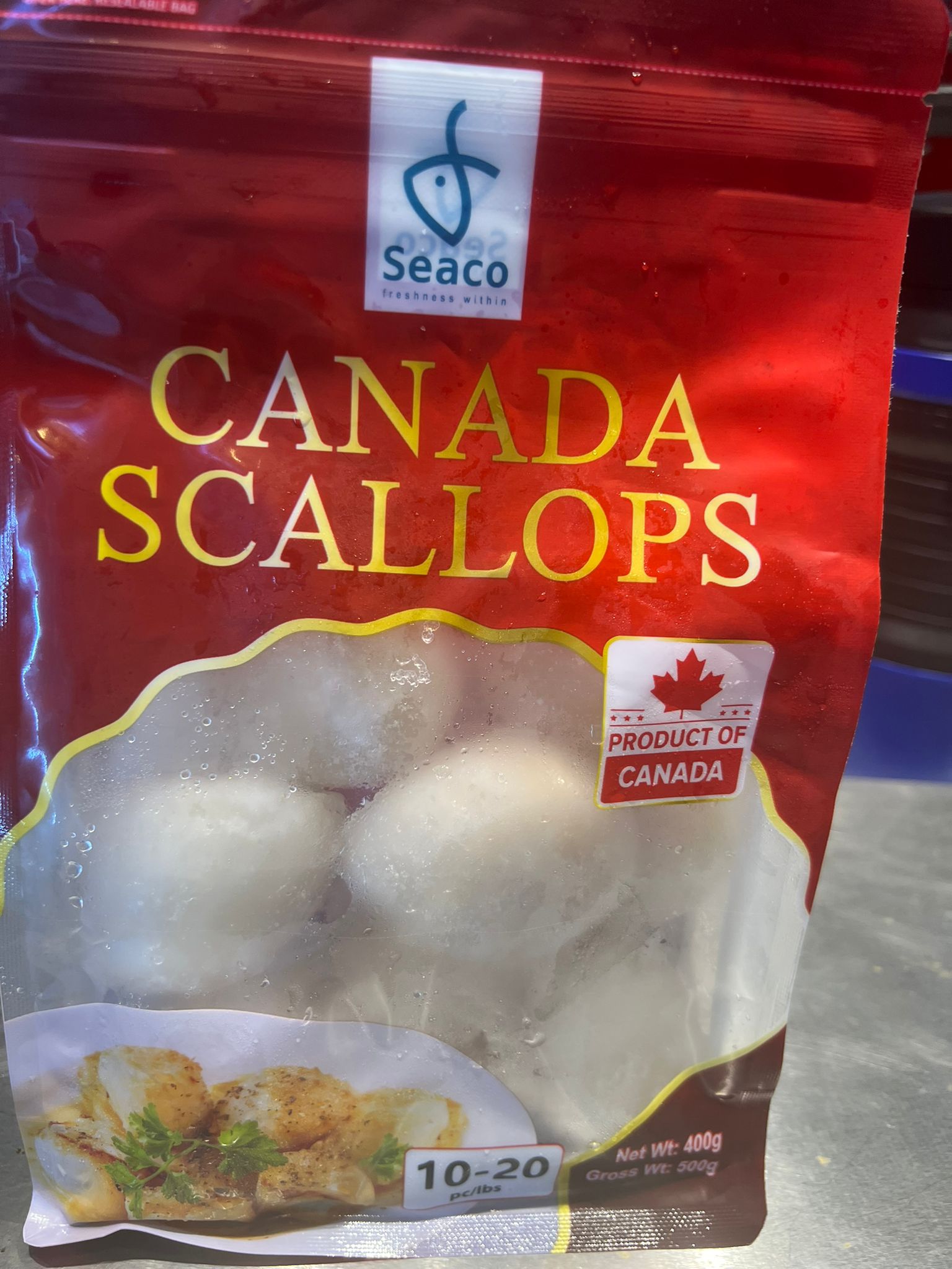 Canada Scallops加拿大带子 500g 10-20pcs_0