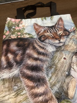 Cute Cat design #1