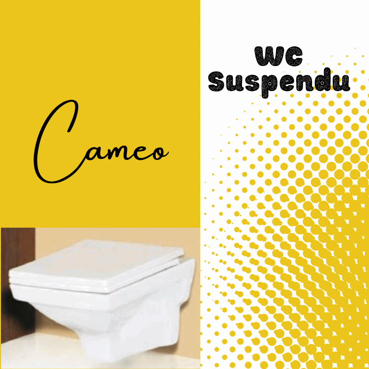 WC Suspendu Cameo_0