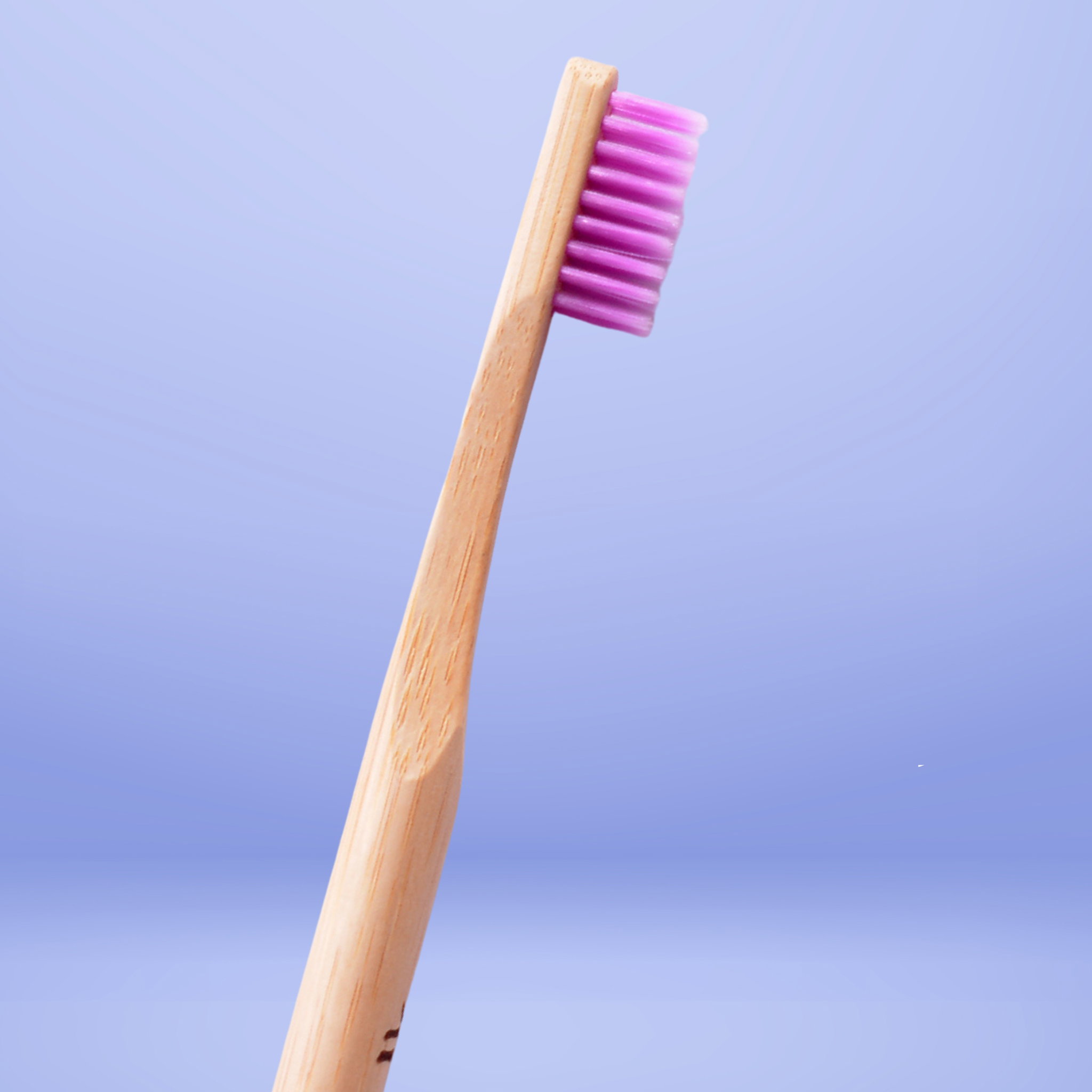 Adult Bamboo Toothbrush (Round Handle)_4