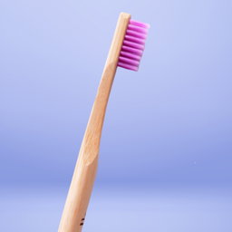 Adult Bamboo Toothbrush (Round Handle)