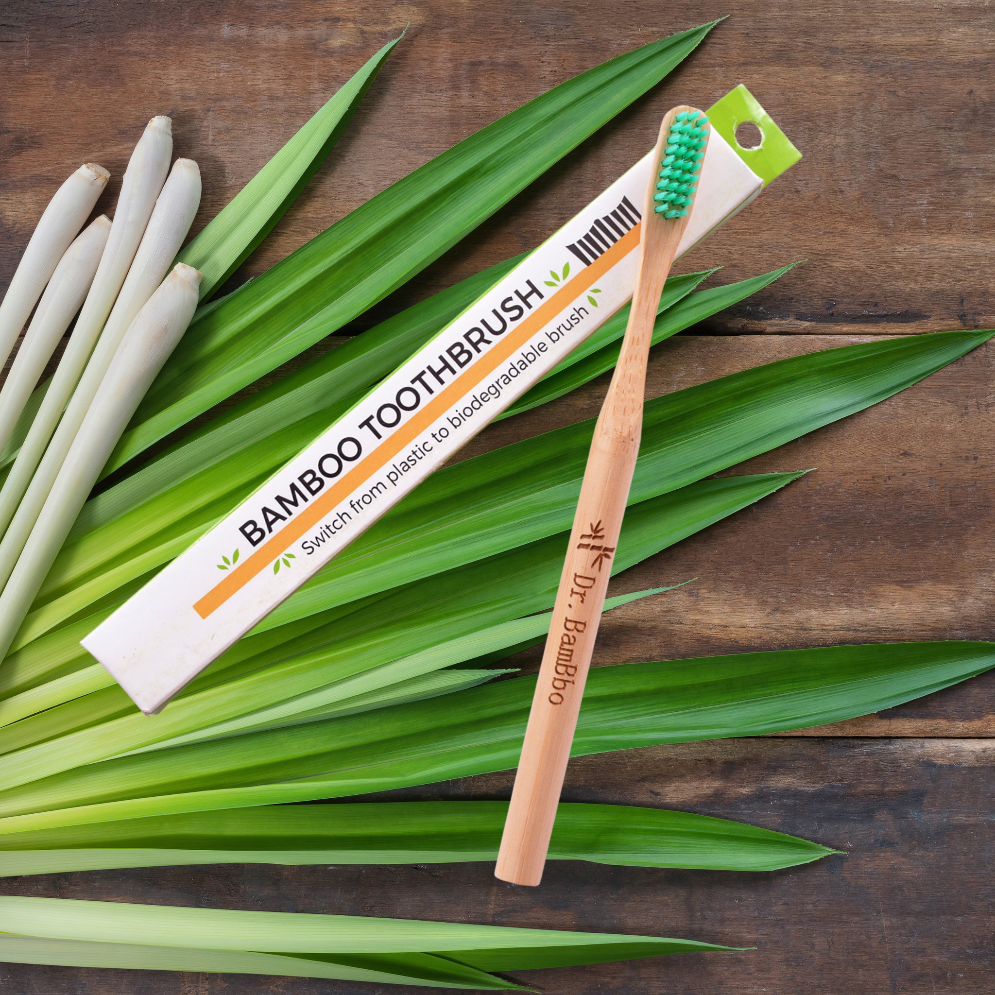 Adult Bamboo Toothbrush (Round Handle)_0