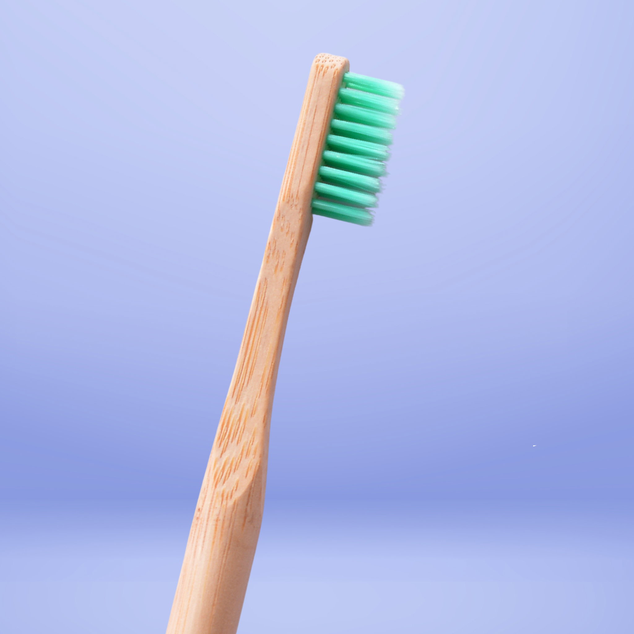 Adult Bamboo Toothbrush (Round Handle)_3