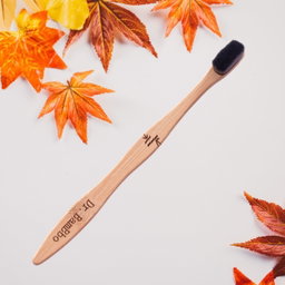 Ultrasoft Adult Toothbrush