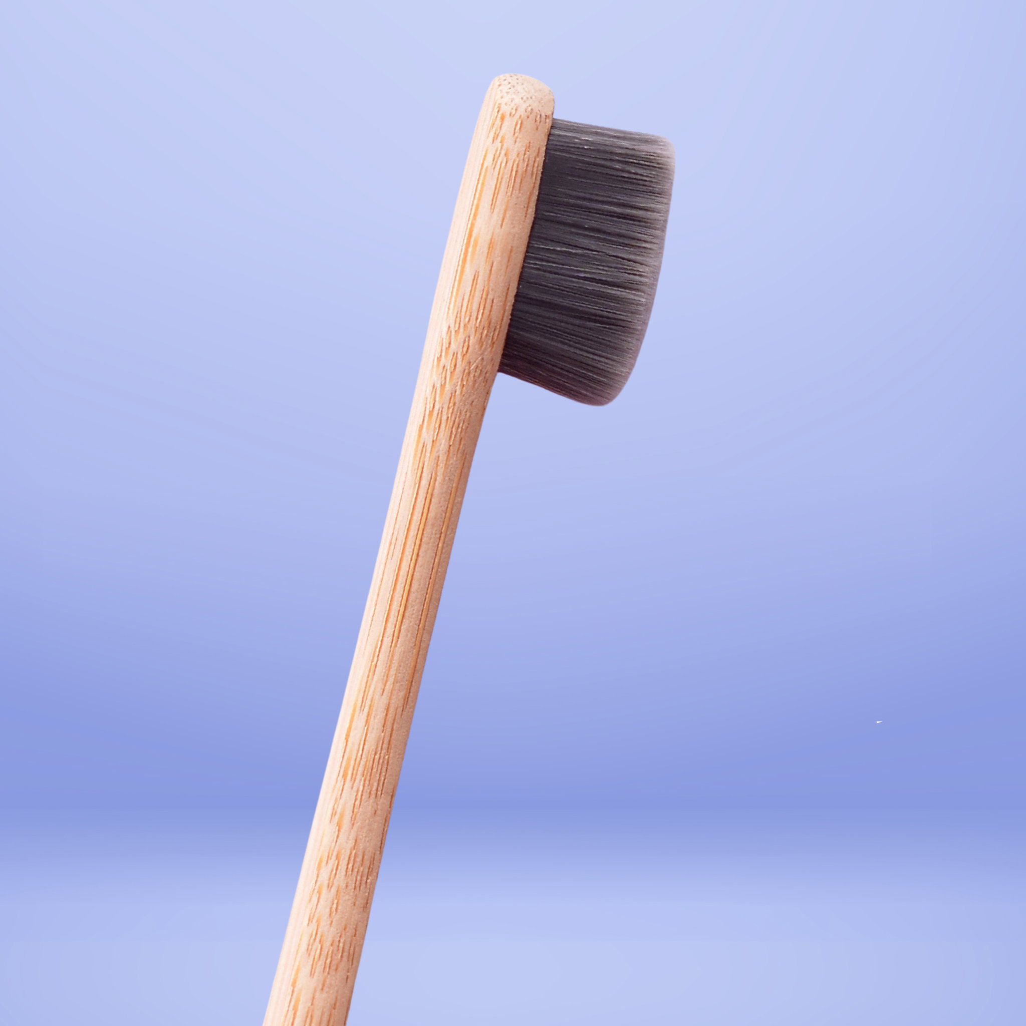 Ultrasoft Adult Toothbrush_2