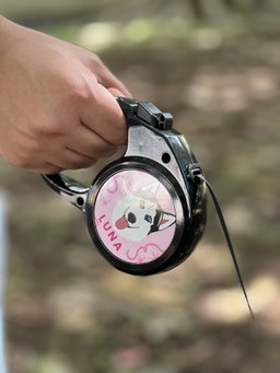 Accesorios para mascotas🐶🐾