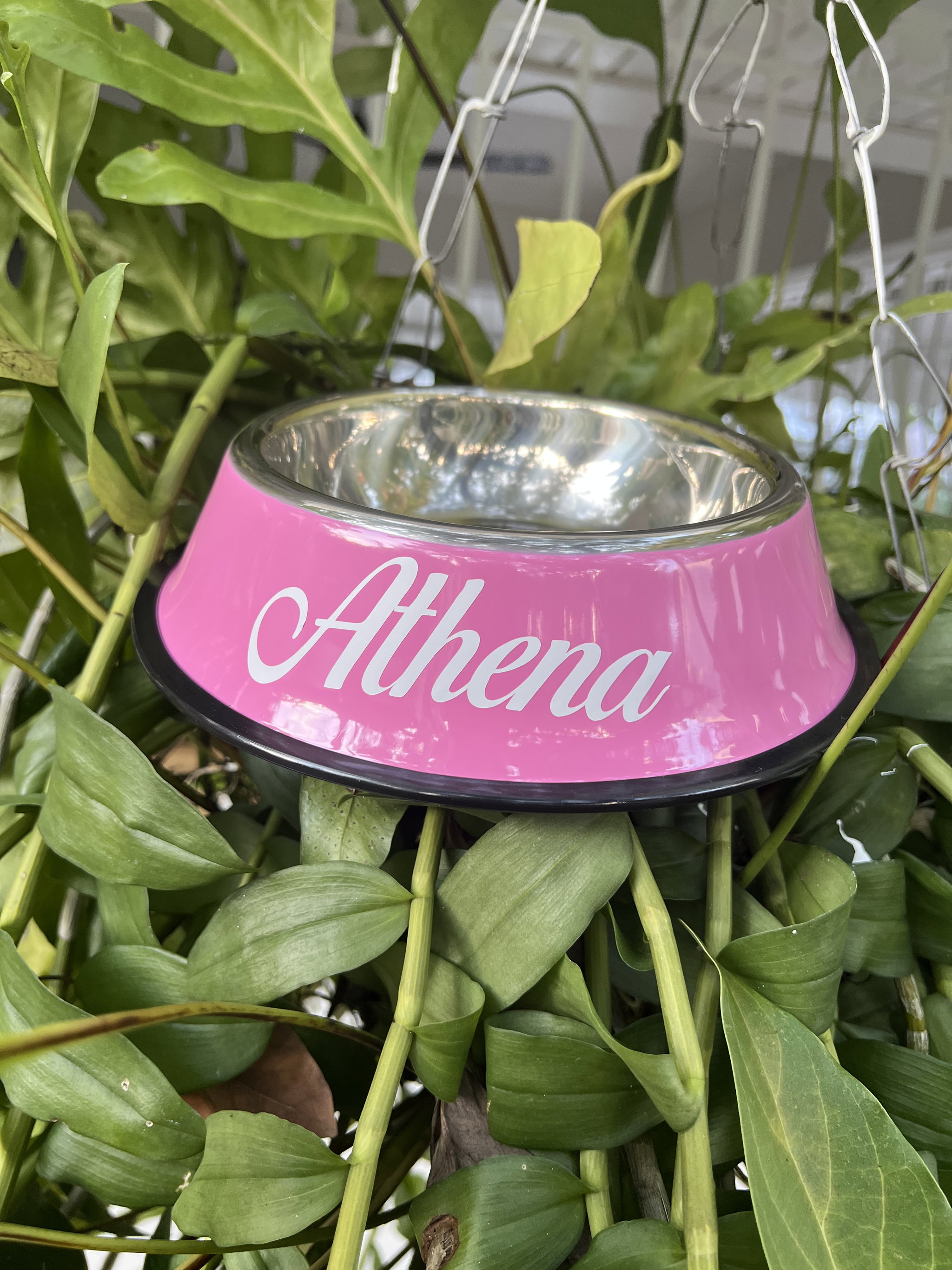 Plato pequeño personalizado_0