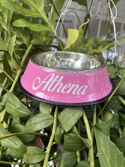 Plato pequeño personalizado