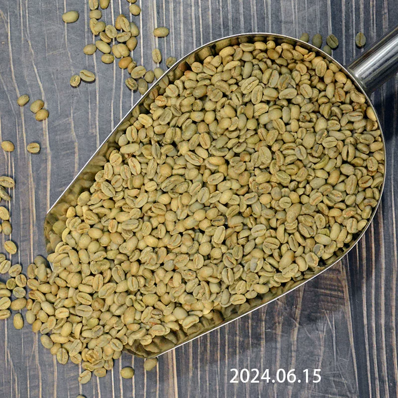 Gesha, Limu Primrose, Natural Processed, Ethiopia, Grade 1, Light-medium roast_4