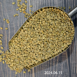 Gesha, Limu Primrose, Natural Processed, Ethiopia, Grade 1, Light-medium roast