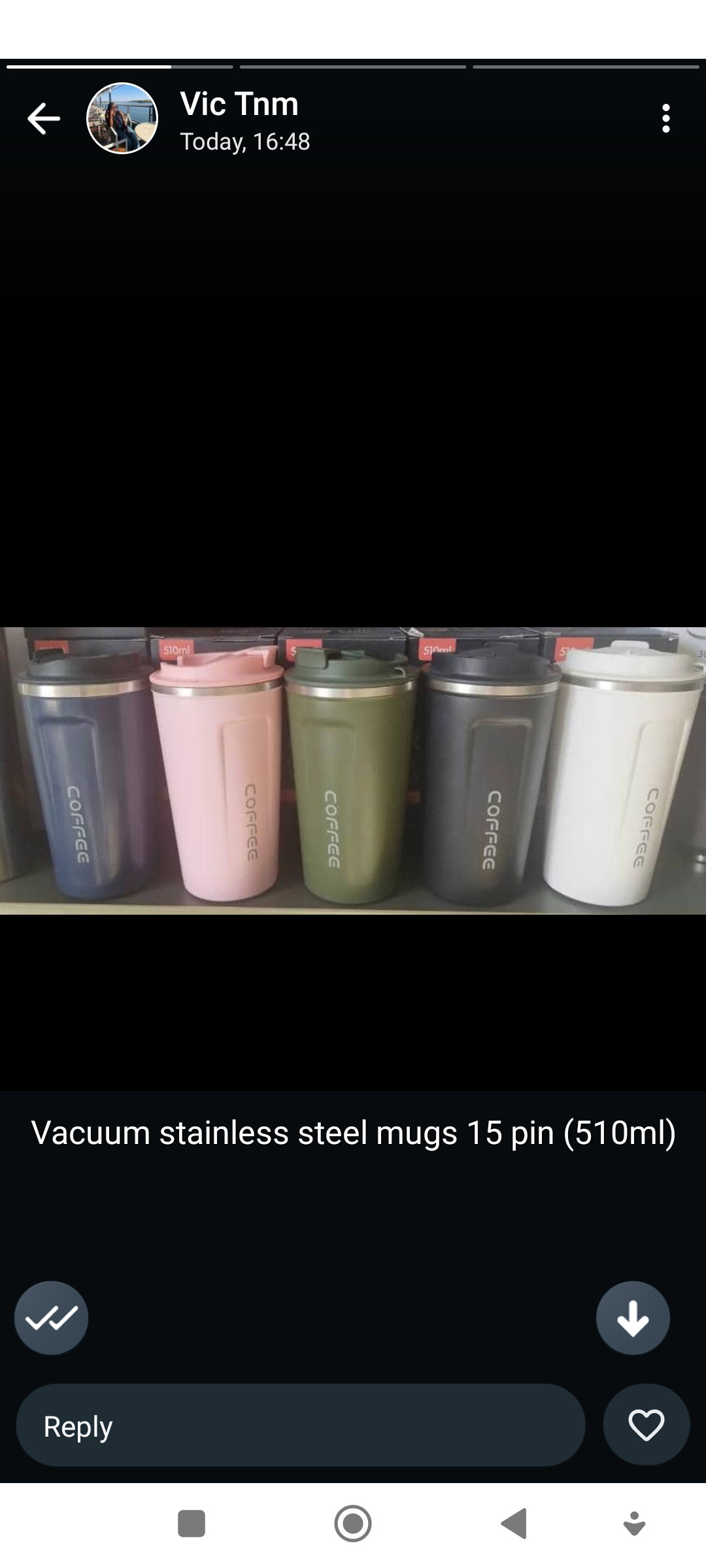 Vacuum Mug